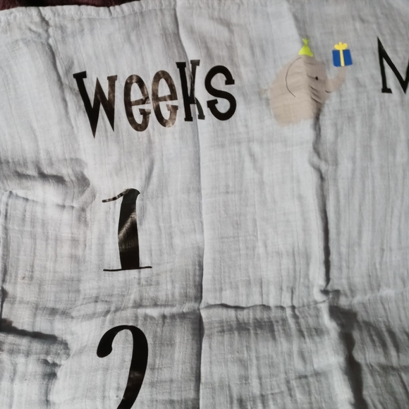 BNWT Baby Growth Chart Blanket - Picture 2 of 10